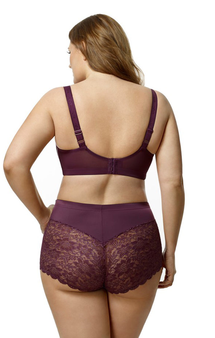 Lacey Curves Cheeky Panty back 3311 Plum